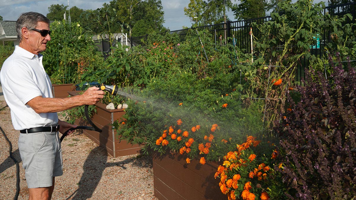 Well Spring - Community Garden