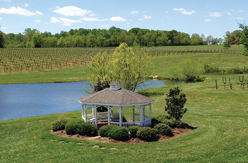 Vineyards of Swan Creek / Shadow Springs - Gazebo Vineyards of Swan Creek / Shadow Springs - Gazebo