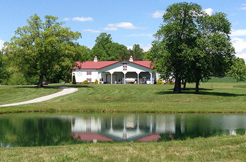 Vineyards of Swan Creek / Yadkin Valley Wine Company Vineyards of Swan Creek / Yadkin Valley Wine Company