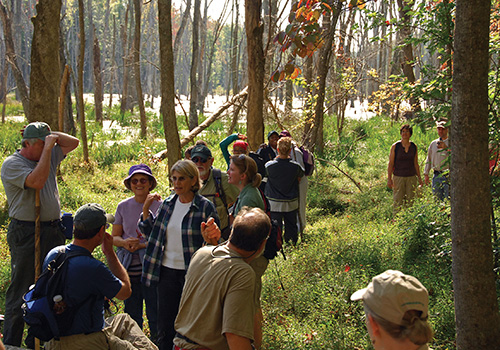 NC Mountain to Sea Trail - hike NC Mountain to Sea Trail - hike