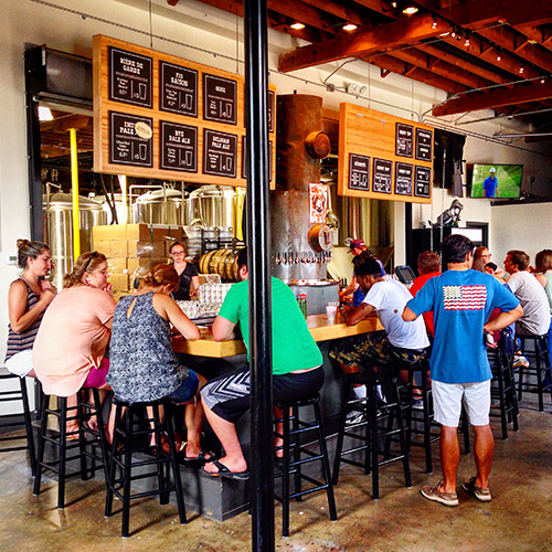 Ponysaurus - Bar 1 Ponysaurus - Bar 1