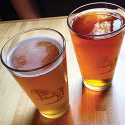Ponysaurus - Beer Glasses