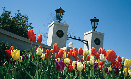 North Hills - entrance North Hills - entrance