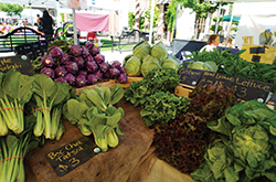 North Hills - vegetables North Hills - vegetables