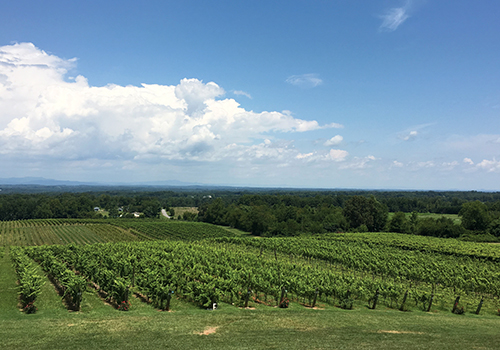 Raffaldini - View Raffaldini - View