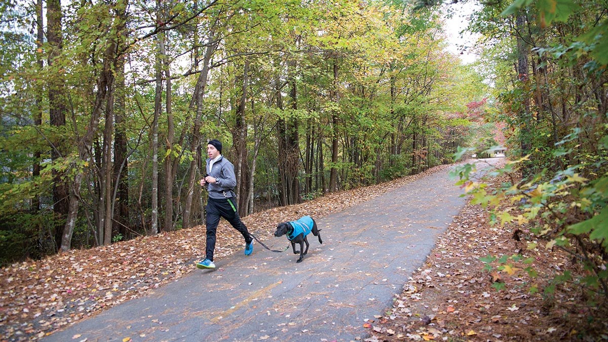 American Tobacco Trail - Chris Barron