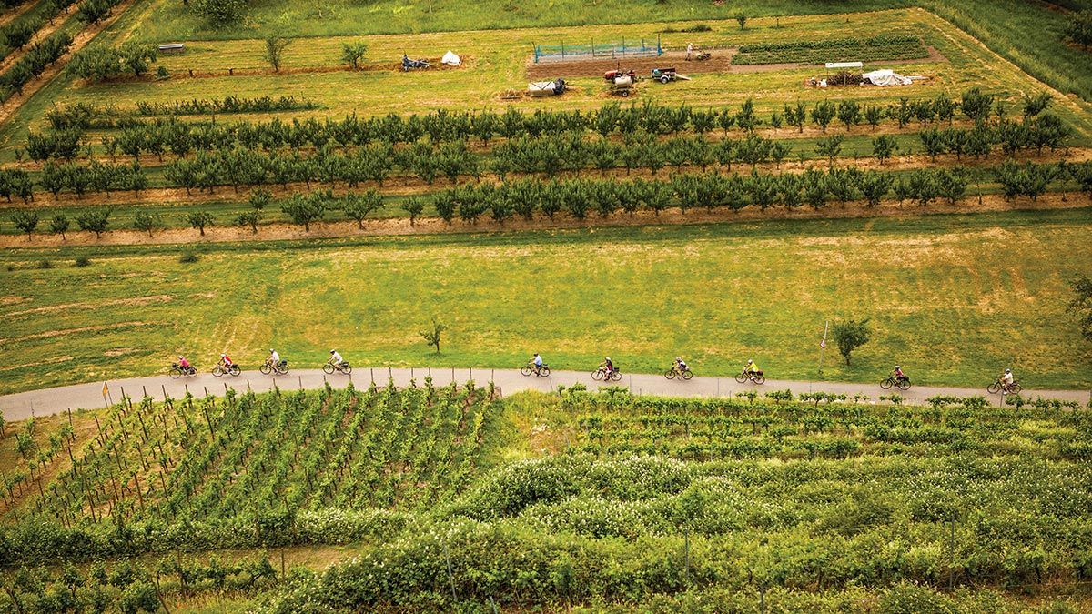 Cycling in France