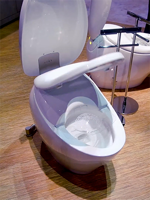 Toto NX2 Dual Flush Toilet