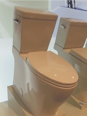Gerber - Lemora Toilet - Feature