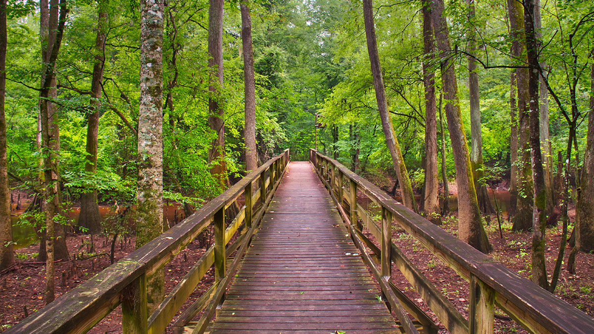 Congaree National Park