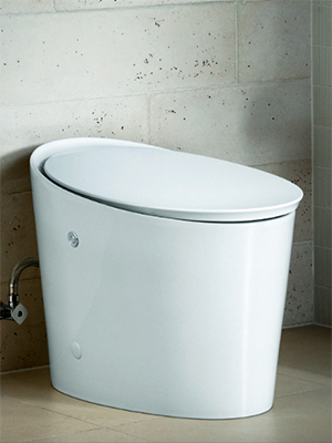 Kohler Avoir Toilet - Feature