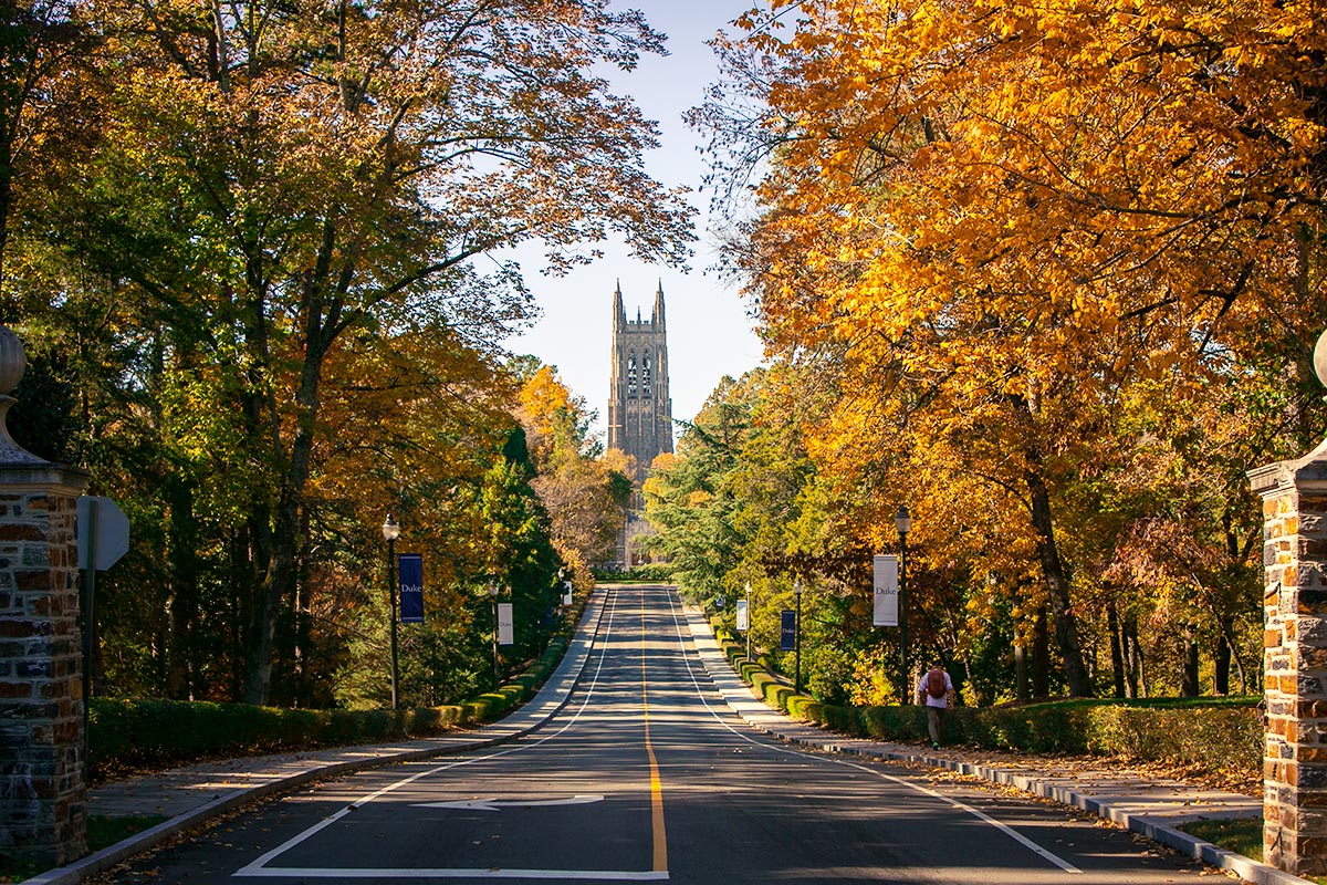 Lifelong Learning - Chapel Drive