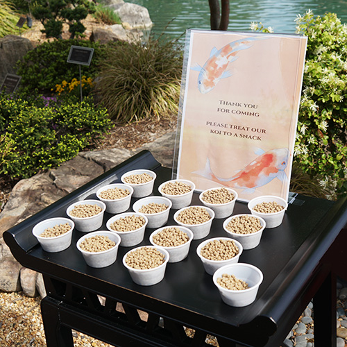 Bermuda Village - Japanese Memorial Garden - Koi Food